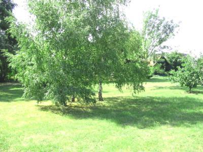 Saint-Martin-de-la-Place La Maison Tournesol - 3 Bedroom House With Large Garden Near Saumur מראה חיצוני תמונה