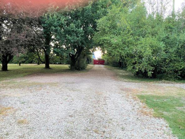 Saint-Martin-de-la-Place La Maison Tournesol - 3 Bedroom House With Large Garden Near Saumur מראה חיצוני תמונה