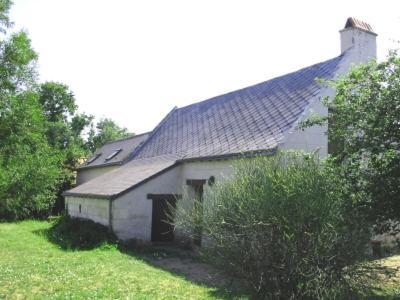 Saint-Martin-de-la-Place La Maison Tournesol - 3 Bedroom House With Large Garden Near Saumur מראה חיצוני תמונה